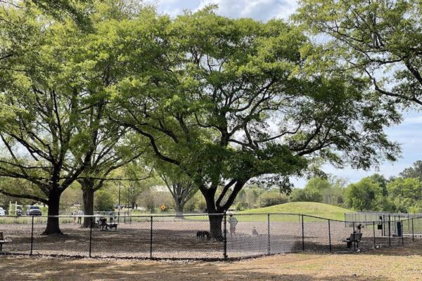 Dog Park at Page Ellington Park photo 1
